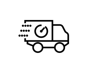 worldwide 48h express shipping icon