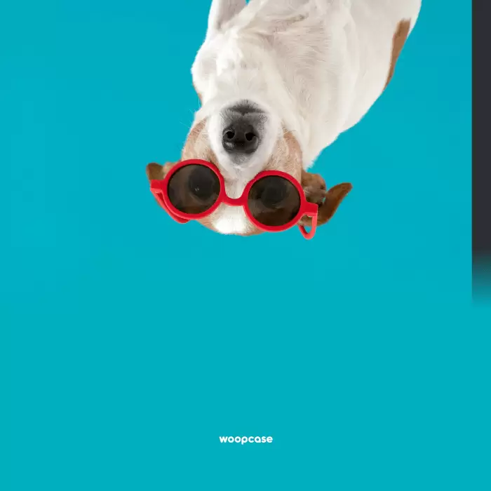Funny dog - Votre Phrase Coque de téléphone