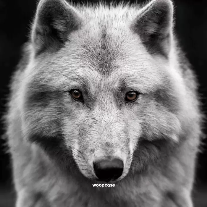 White Wolf - Votre Phrase Coque de téléphone